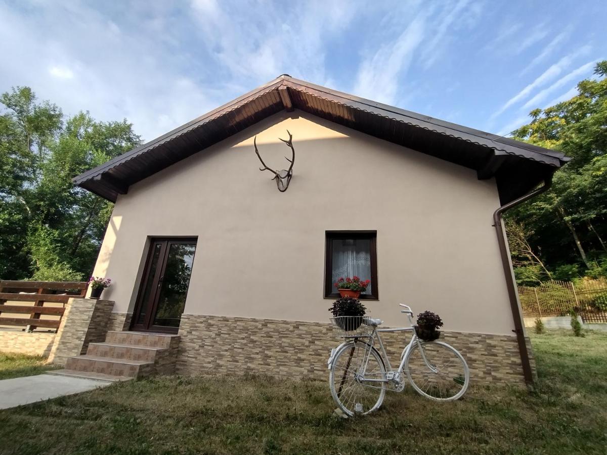 Casa De Vacanta Radu Novaci-Străini Exterior foto